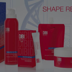 DIBI SHAPE REFINE